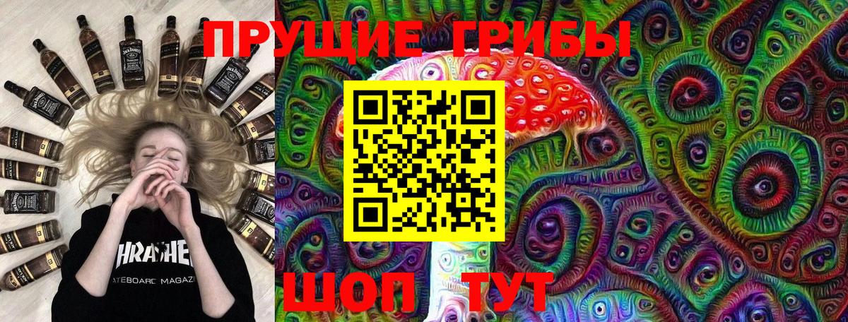 Псилоцибиновые грибы мицелий Гусев