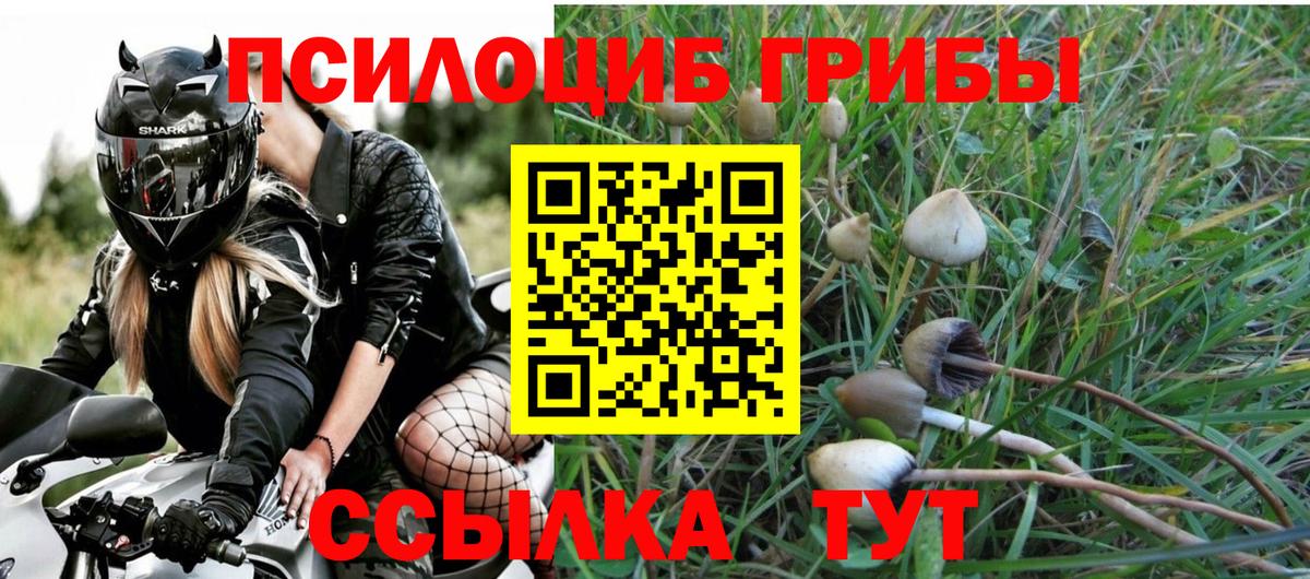 Псилоцибиновые грибы MAGIC MUSHROOMS  Вход с VPN  Гусев  Галлюциногенные грибы Magic Shrooms 